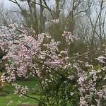 Le Bourgis Bed & Breakfast
