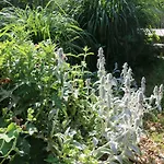 Bed & Breakfast Le Bourgis 3*