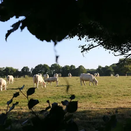 Le Bourgis Bed and breakfast