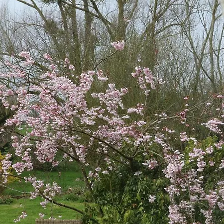 Le Bourgis Bed and breakfast