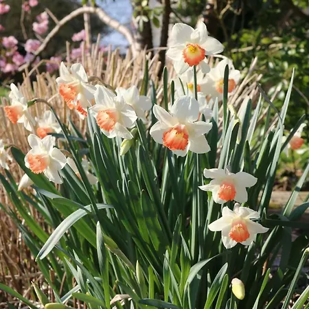 Le Bourgis Bed & Breakfast 4*