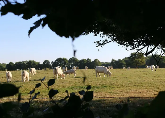 Le Bourgis Bed & Breakfast