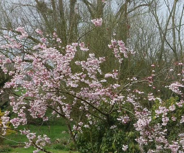 Le Bourgis Bed and breakfast