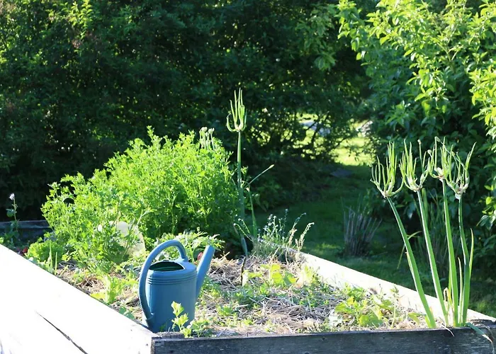 Le Bourgis Bed and breakfast