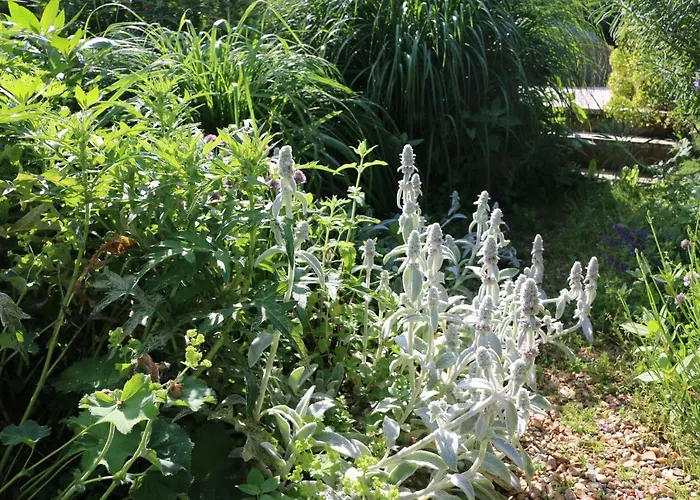 Bed & Breakfast Le Bourgis 4*