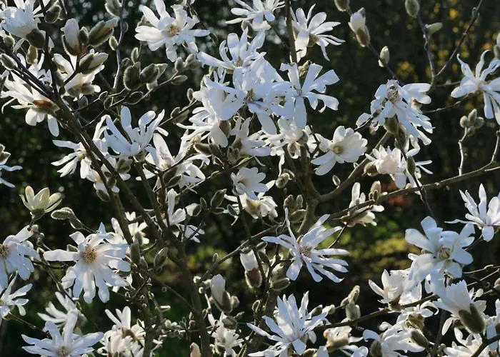 Le Bourgis 4* La Chapelle-Montligeon