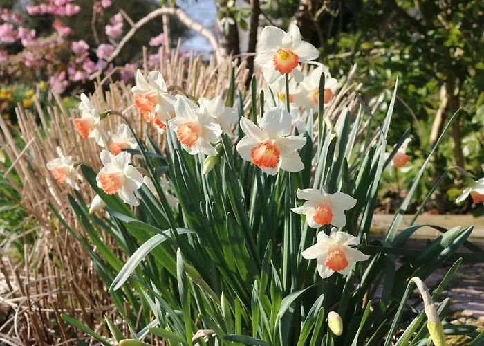 Le Bourgis Bed & Breakfast 4*