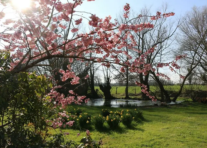 Bed and breakfast Le Bourgis